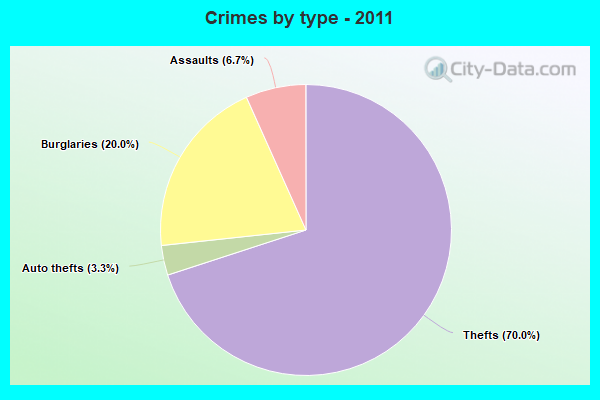 Crimes by type - 2011