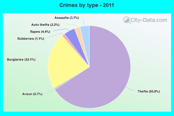 Crimes by type - 2011