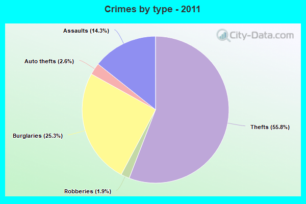 Crimes by type - 2011