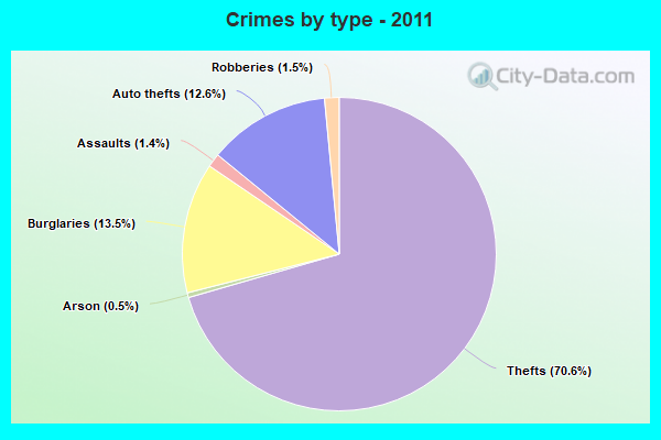 Crimes by type - 2011