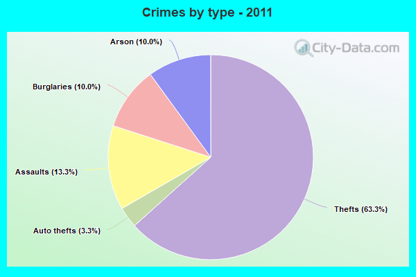 Crimes by type - 2011