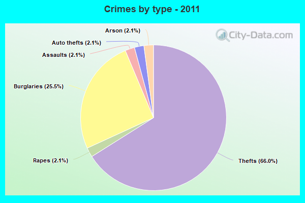 Crimes by type - 2011