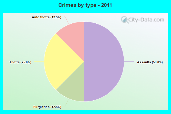 Crimes by type - 2011