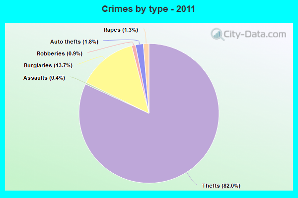 Crimes by type - 2011