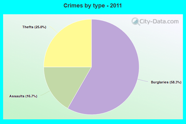 Crimes by type - 2011