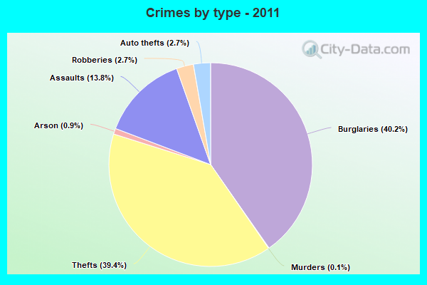 Crimes by type - 2011