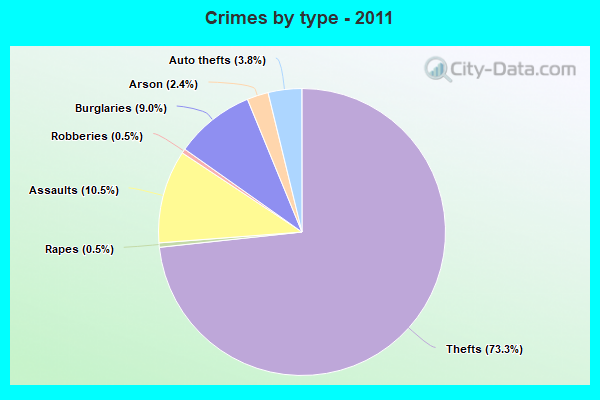 Crimes by type - 2011