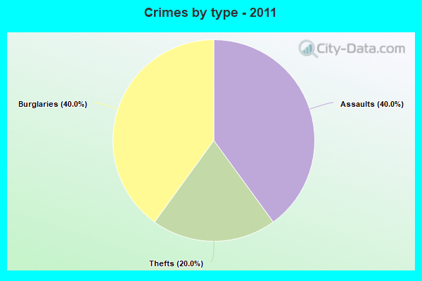 Crimes by type - 2011