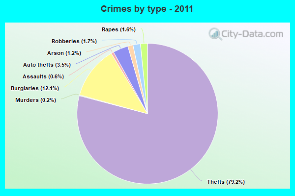 Crimes by type - 2011