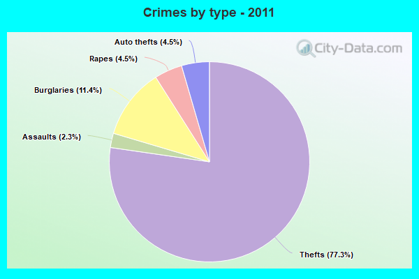 Crimes by type - 2011