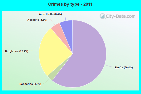 Crimes by type - 2011