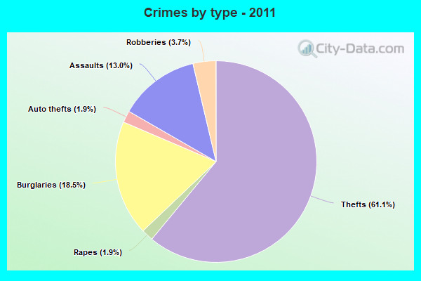 Crimes by type - 2011