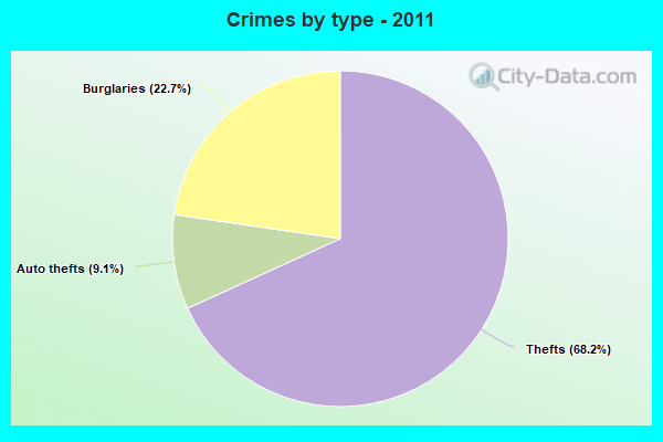 Crimes by type - 2011