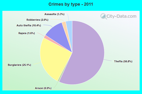 Crimes by type - 2011