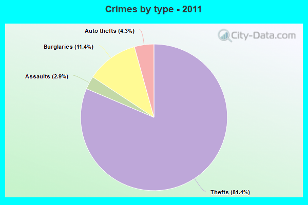 Crimes by type - 2011