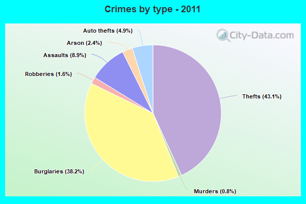 Crimes by type - 2011