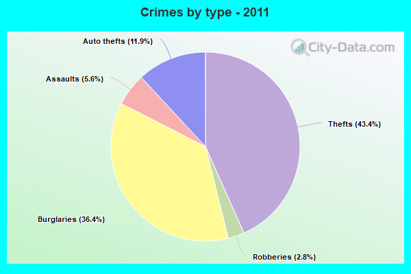 Crimes by type - 2011