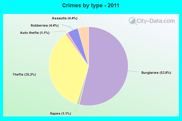 Crimes by type - 2011