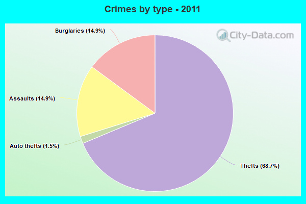 Crimes by type - 2011