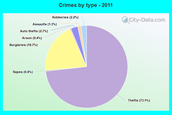 Crimes by type - 2011