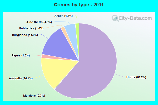 Crimes by type - 2011