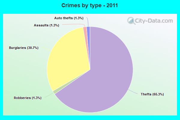 Crimes by type - 2011