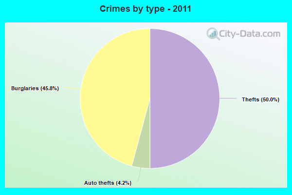 Crimes by type - 2011