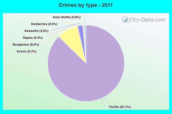 Crimes by type - 2011