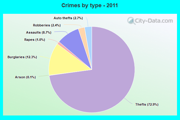 Crimes by type - 2011