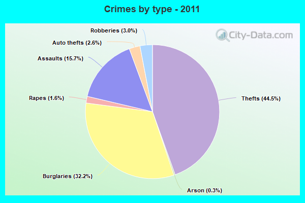 Crimes by type - 2011