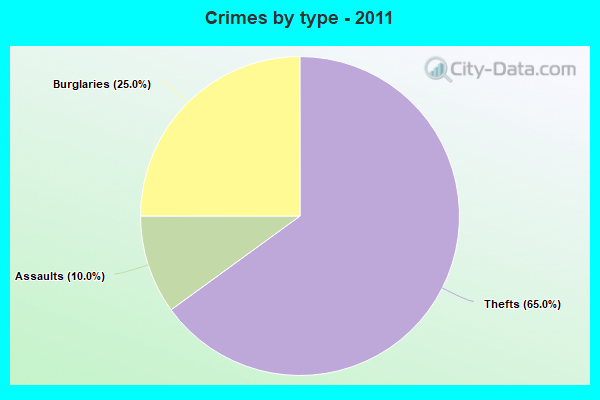 Crimes by type - 2011