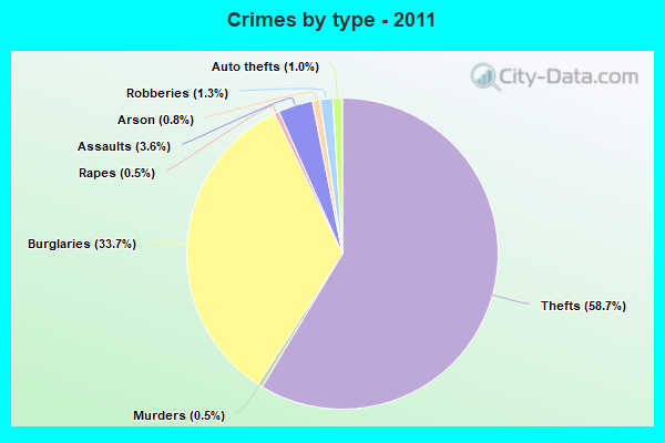 Crimes by type - 2011