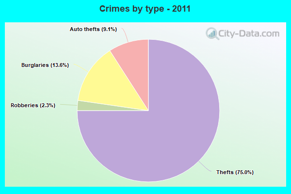 Crimes by type - 2011