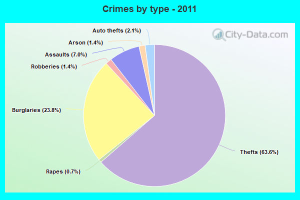 Crimes by type - 2011