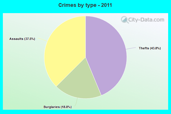 Crimes by type - 2011