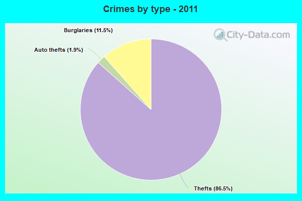 Crimes by type - 2011