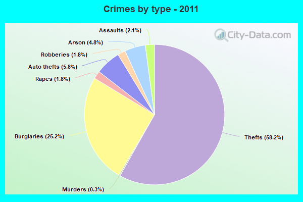 Crimes by type - 2011