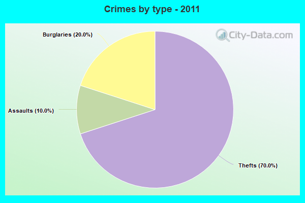 Crimes by type - 2011