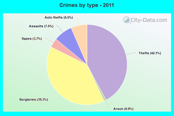 Crimes by type - 2011