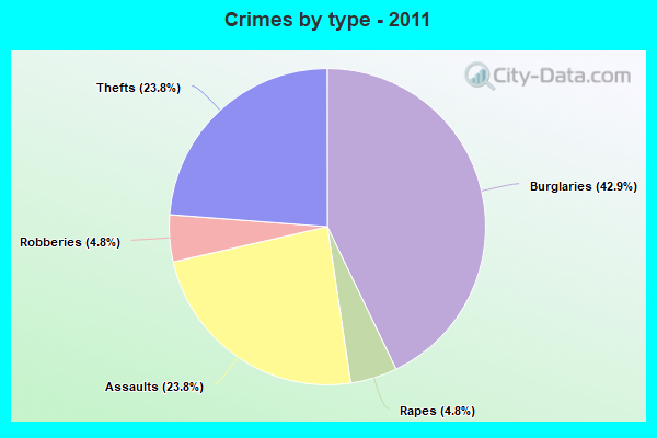 Crimes by type - 2011