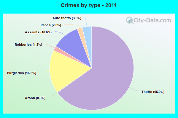 Crimes by type - 2011