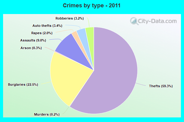 Crimes by type - 2011