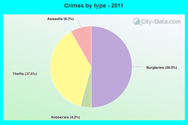 Crimes by type - 2011