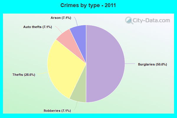 Crimes by type - 2011