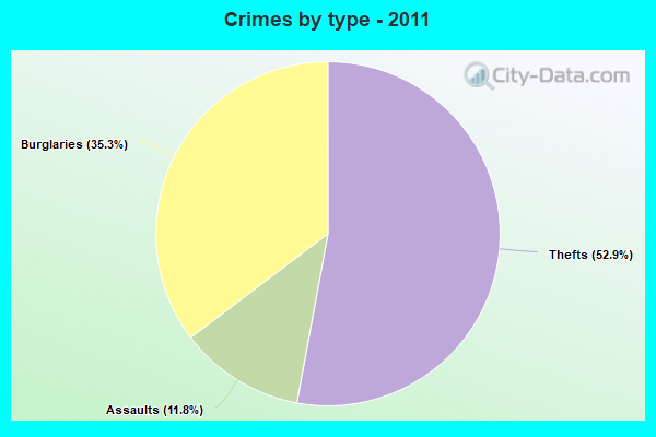 Crimes by type - 2011