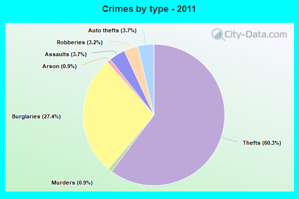 Crimes by type - 2011