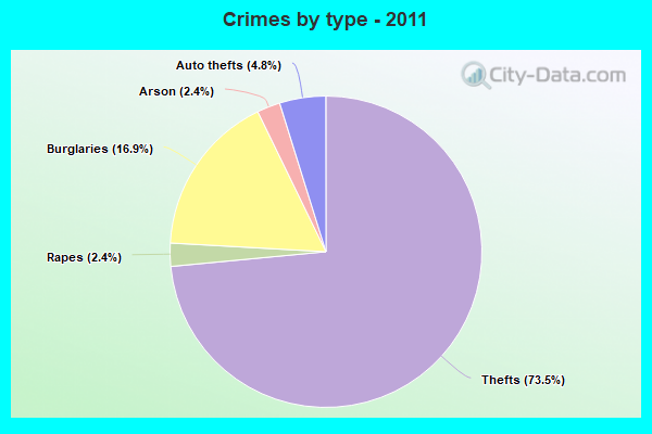 Crimes by type - 2011