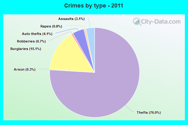 Crimes by type - 2011