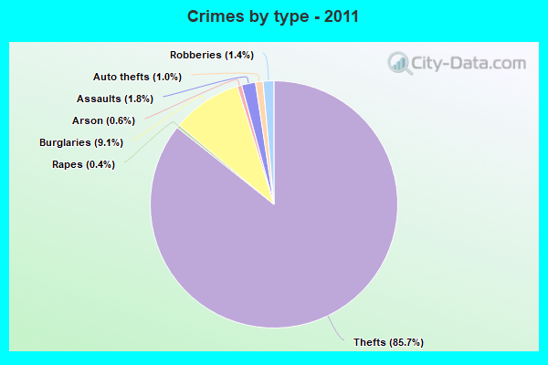 Crimes by type - 2011