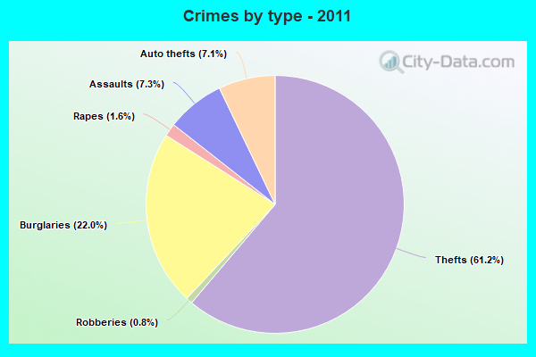 Crimes by type - 2011